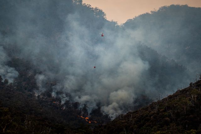 bushfire